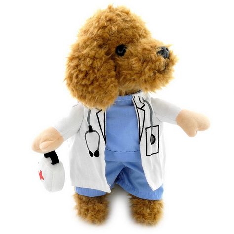 Doctor Halloween Costume, Small Dog Costumes, Doctor Halloween, Small Dog Coats, Puppy Coats, Luxury Dog Collars, Cat Halloween Costume, Small Dog Clothes, White Gown