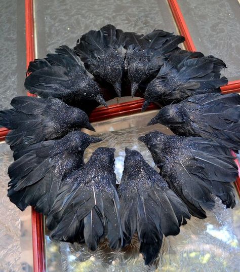 Crow Wreath  Need: hot glue Dollar Store fake black birds foam wreath black glitter  spray adhesive   Remove legs from blackbirds, hot glue onto wreath, spray heads with adhesive, sprinkle with glitter. Ravens Wreath, Diy Halloween Dekoration, Diy Halloween Wreath, Black Birds, Halloween Wreaths, Festive Wreath, Halloween 2015, Halloween Inspiration, Halloween Deco