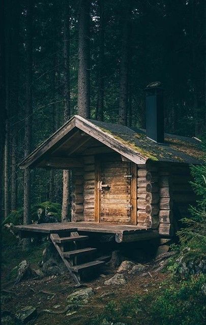 Tiny Houses In The Woods, Dark Shed, A Cabin In The Woods, Little Cabin In The Woods, Small Log Cabin, Cabin Tiny House, Cozy Cabins, Forest Cabin, Tiny Cabins