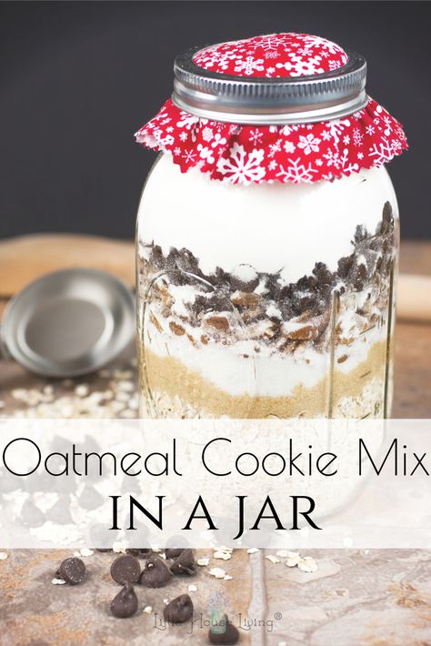 You can create this simple Homemade Oatmeal cookie Mix with basic pantry staples. It's a wonderful mix to have on hand for when you are craving cookies and it also makes a great gift! #oatmealcookies #cookiemix #cookiesinajar #giftsinajar #homemadegifts #frugalgifts #makeyourown Cookies In A Jar Recipe, Cookie Mix In A Jar, Homemade Oatmeal Cookies, Cookies In A Jar, Gluten Free Oatmeal Cookies, Mix In A Jar, Mason Jar Cookies, Chocolate Chip Cookie Mix, Homemade Oatmeal