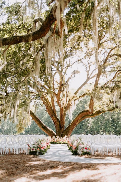 Lowcountry Luxury Weddings at Hewitt Oaks | Southern Wedding Venue in Bluffton, SC - Savannah, Charleston Wedding Venue Charleston Sc, Southern Charm Wedding Decorations, Old Money Southern Wedding, Wedding Venues Charleston Sc, Southern Elegant Wedding, Hewitt Oaks Wedding, Small Southern Wedding, Dunes West Wedding Charleston Sc, Southern Garden Wedding