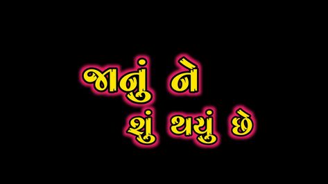 Timli Lover Text Png, Png Text Gujarati Timli, Timli Lover Logo, Timli Lover, Photo Logo Design, Dp Images, Whatsapp Dp Images, Light Background Images, Png Text