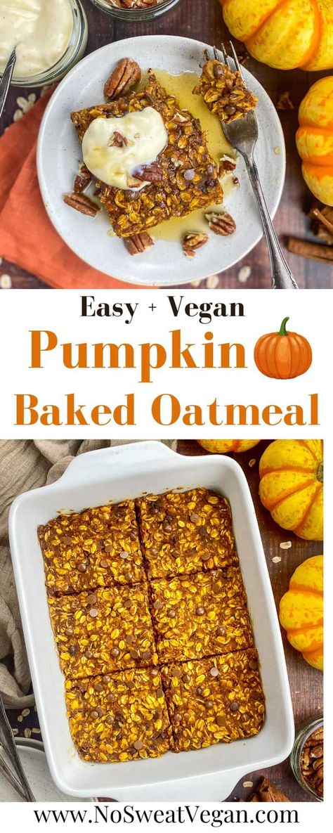 These vegan Pumpkin Baked Oats are flavored with pumpkin pie spice and perfect any time you want a little taste of fall! They come together quickly and can be eaten right away or stored for grab-and-go breakfasts or snacks throughout the week. Quick Oats Recipes Healthy, Vegan Oatmeal Bake, Healthy Pumpkin Baked Oatmeal, Vegan Pumpkin Breakfast, Vegan Pumpkin Oat Bars, Pumpkin Baked Oats, Vegan Pumpkin Baked Oatmeal, Protein Pumpkin Oatmeal Bake, Vegan Baked Pumpkin Oatmeal