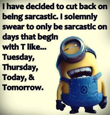 Quotes Distance, January Quotes, Turn Down For What, Funny Minion Pictures, Funny Minion Memes, Minion Pictures, Minion Jokes, Minions Love, A Minion