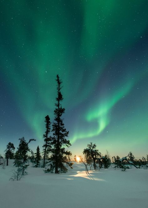 Where can you see the Northern Lights in Finland? Finland Country, Northern Lights Photography, Finland Travel, See The Northern Lights, Alaska Cruise, The Northern Lights, Dream Travel Destinations, The Aurora, Dream Holiday