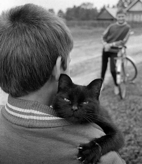 Cat Hug, A Black Cat, Cat People, Appaloosa, Quarter Horse, Cats Meow, Crazy Cat Lady, Animals Friends, A Boy