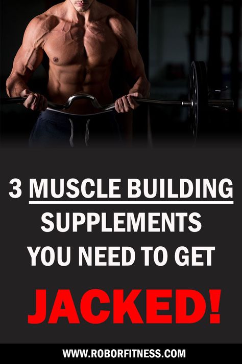 3 muscle building supplements you need to get jacked article by Robor Fitness Bodybuilding Supplements Muscle Building, Supplements For Bodybuilding, Gain Muscle Mass, Build Muscle Fast, Muscle Building Supplements, Build Muscle Mass, Increase Muscle Mass, Bodybuilding Supplements, Building Muscle