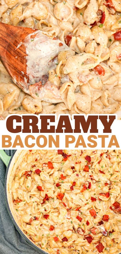 Bacon And Cheese Pasta, Recipes Using Shell Pasta, Shells Pasta Recipes Chicken, Pasta And Bacon Recipes Easy Dinners, Bacon Cream Sauce Pasta, Bacon Fettucine Alfredo, Shell Noodle Recipes Easy, Sea Shell Pasta Recipes, Cream Cheese Bacon Chicken Pasta