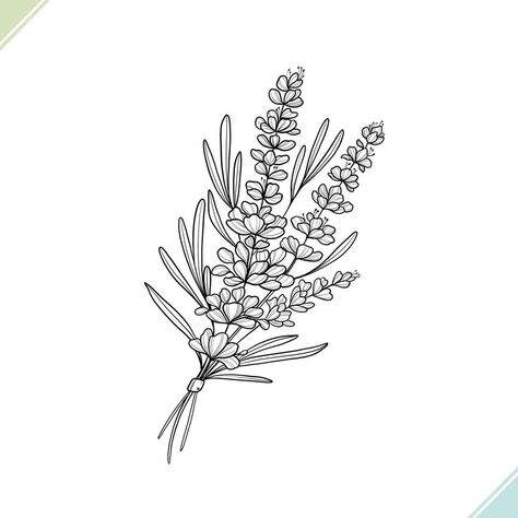 Lavender, so simple yet beautiful and meaningful 🖤 Line Art Lavender, Draw Plants, Lavender Tattoo, Botanical Line Drawing, Tattoo Zeichnungen, Plants Leaves, Line Art Tattoos, Leaf Drawing, Floral Drawing