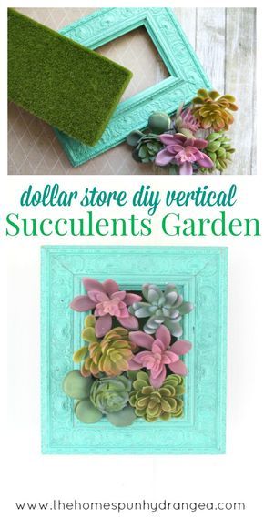 Succulents In Picture Frame, Succulent Diy Ideas Crafts, Diy Succulent Wall Decor, Spring Decorations For Office, Diy Succulent Decor, Dollar Tree Succulents Diy, Succulent Office Decor, Succulents Crafts, Dollar Tree Wall Decor Diy