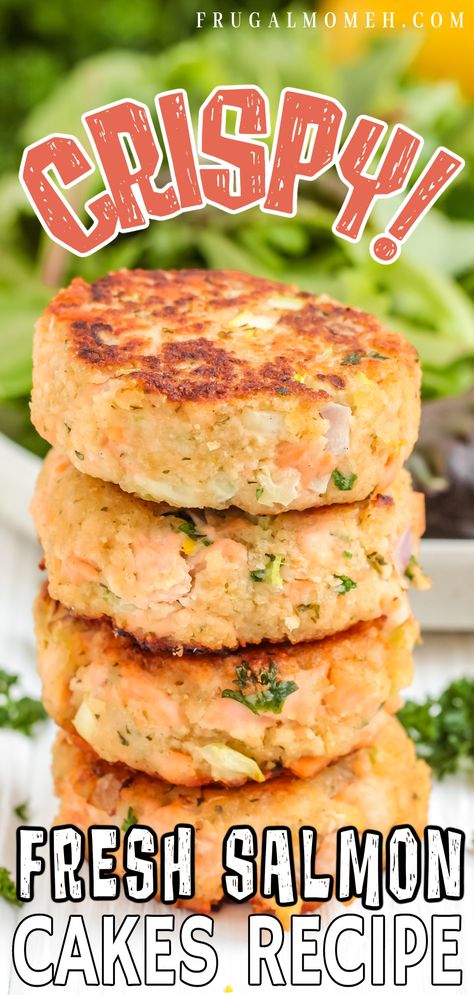 Looking for an easy fresh salmon cakes recipe? These fish patties are fresh, simple, and delicious – perfect for a quick weeknight meal! Salmon Patties Fresh Salmon, Salmon And Shrimp Patties, Grilled Salmon Patties, Fresh Salmon Cakes Recipe, Fresh Salmon Patties Recipe Easy, Salmon Fish Cakes Recipe, Eggless Salmon Patties, Baked Salmon Patties Recipes Oven, Salmon Croquettes With Fresh Salmon