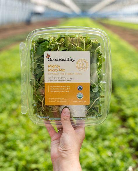 Packaging Microgreens, Microgreens Branding, Microgreens Logo, Microgreen Packaging, Microgreens Packaging, Pea Microgreens, Microgreens Business, Sunflower Microgreens, Logo Om