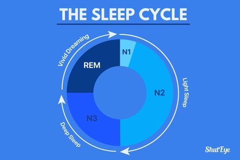 Sleep Phases, Sleep Talking, Stages Of Sleep, Sleep Medicine, Rem Sleep, Restless Leg Syndrome, Class 11, Restorative Sleep, Sleep Schedule