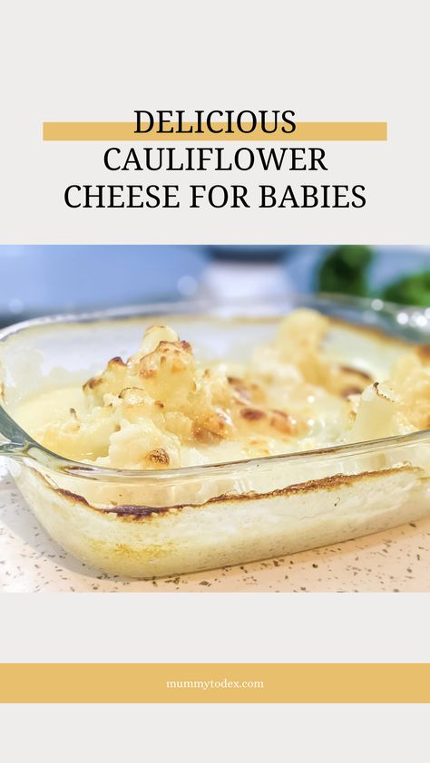 Cauliflower Recipes For Baby, Cheese For Babies, Blw Recipes, Baby Recipes, Weaning Recipes, Creamy Cauliflower, Baby Puree, Cauliflower Cheese, Baby Weaning