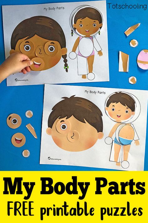 FREE printable activity for toddlers and preschoolers to identify body parts and place pieces where they go. Great anatomy activity that also helps to build vocabulary. My Body Parts, Ece Activities, Body Parts Preschool Activities, Body Parts For Kids, Body Preschool, Face Parts, Body Parts Preschool, Free Printable Puzzles, Toddler Games