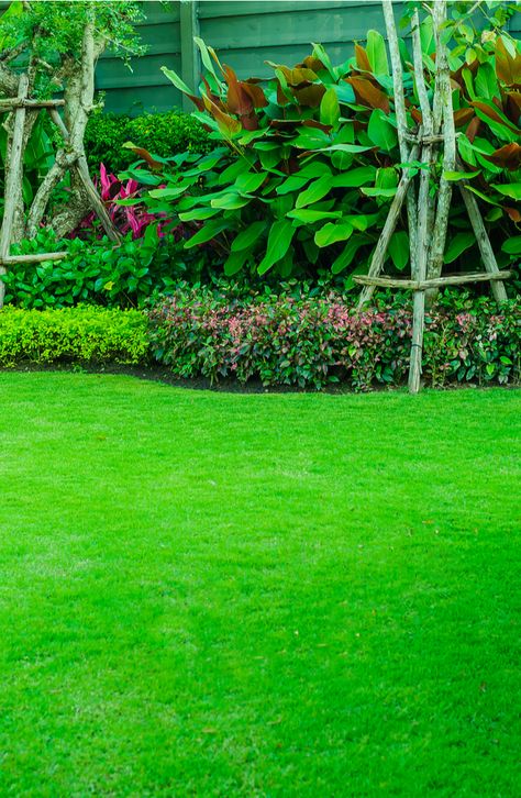 Lawn Design Ideas, Small Backyard Decks, Backyard Decks, Grass Background, Lawn Design, Lawn Mowing, Lawn Care Tips, Lush Lawn, Garden Decor Ideas