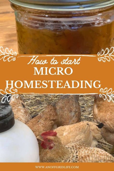 Urban Homesteading, Permaculture, Micro Homesteading, Micro Homestead, Off Grid Homestead, Micro Farm, Modern Homesteading, Homesteading Skills, Homestead Living