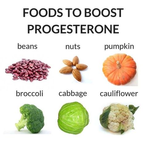 Foods to Boost Your Progesterone Levels | The Dietologist Boost Progesterone, Congenital Adrenal Hyperplasia, Cabbage Broccoli, Environmental Problems, House Cleaners, Fertility Testing, Progesterone Levels, Early Pregnancy, Pregnancy Hormones