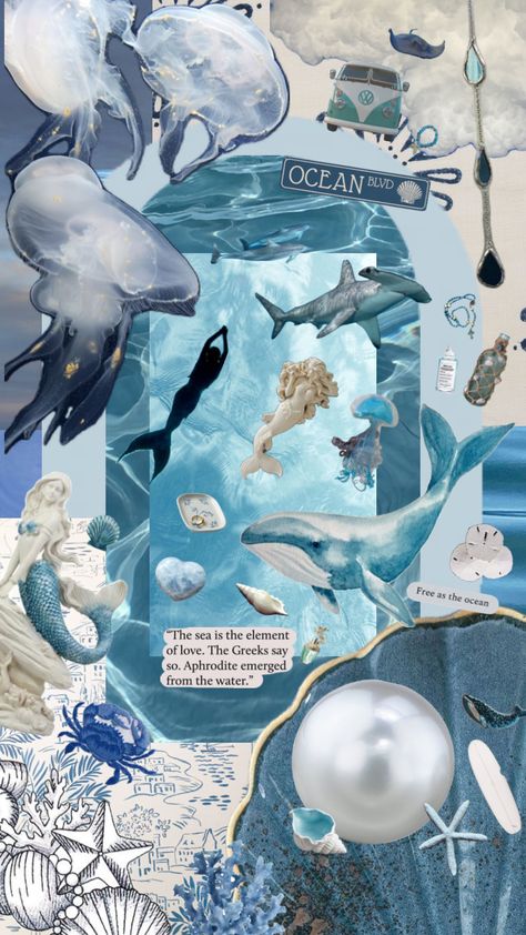 ocean Theme For Instagram Page, Marine Science Wallpaper, Ocean Theme Board, Ocean Animals Wallpaper, Aqua Aesthetic Wallpaper, Ocean Collage Art, Ocean Wallpaper Iphone, Ocean Collage, Shark Background