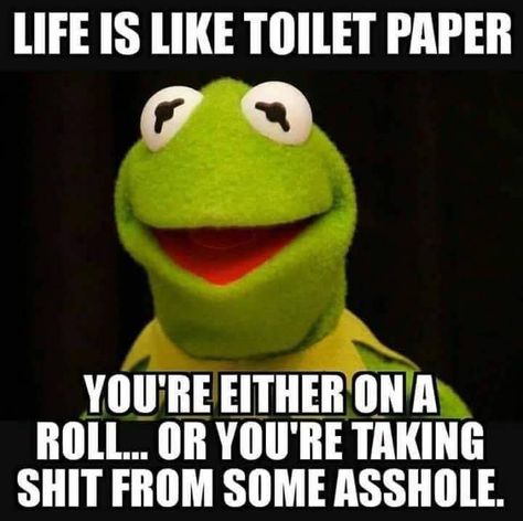 Kermit Funny, Sarcastic Jokes, Funny Quotes Sarcasm, Memes Sarcastic, Funny Cartoon Quotes, Cartoon Quotes, Sarcastic Quotes Funny, Sarcasm Humor, Twisted Humor