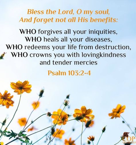 Bless the Lord, O my soul, And forget not all His benefits:  WHO forgives all your iniquities, WHO heals all your diseases, WHO redeems your life from destruction, WHO crowns you with lovingkindness and tender mercies  Psalm 103:2-4 Psalm 103:2-3, Psalm 103, Psalm 103 2, Psalms 133:1 Kjv, Psalms 37:7 Be Still, Psalms 71:20-21, Prayer Of Praise, Psalm 4, Psalm 31:24 Kjv