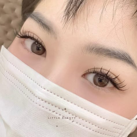 Japanese Lash Extensions, Lash Extensions On Hooded Eyes, Eyelash Extensions Hooded Eyes, Korean Lash Extensions, Lash Extensions Asian Eyes, Asian Lash Extensions, Eyelash Extensions For Hooded Eyes, Asian Eyelash Extensions, Korean Eyelash Extension