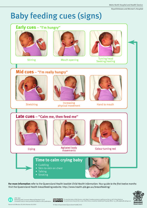 Newborn Feeding Cues Feeding Cues, Baby Sleeping On Side, Baby Sleeper Gown, Baby Sleep Regression, Baby Milestones Pictures, Stopping Breastfeeding, Newborn Feeding, Baby Sleep Schedule, Baby Drinks