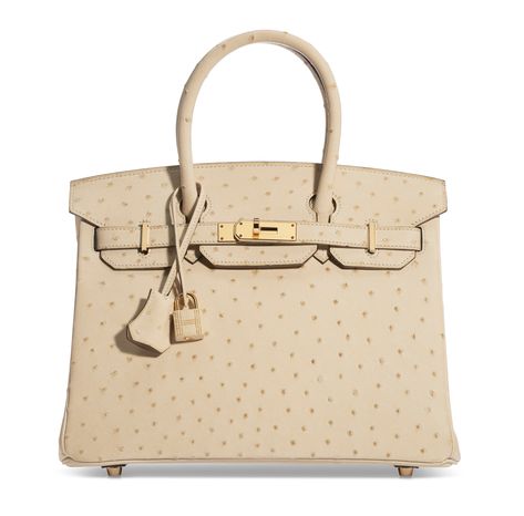 Hermès handbags — What every collector needs to know | Christie's Moth Balls, Ostrich Bag, Miranda Priestly, Bag Lock, Birkin Handbags, Limited Edition Bag, Hermes Kelly Bag, Drawing Bag, Cartier Panthere