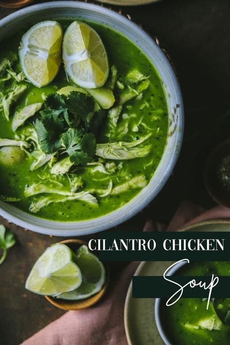 Cilantro Soup Recipe, Champagne Cream Sauce, Peruvian Chicken, Lobster Pasta, Peruvian Dishes, Cilantro Chicken, Waiting For Spring, Mexican Soup, Green Soup