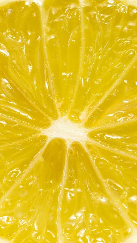 I absolutely LOVE the citrus zing of lemon!!!! Zoom In Fruit, Yuzu Aesthetic, Yellow Aesthetic Pastel, Aesthetic Yellow, Yellow Theme, Fruit Wallpaper, Fruit Photography, Yellow Brick Road, Lemon Slice