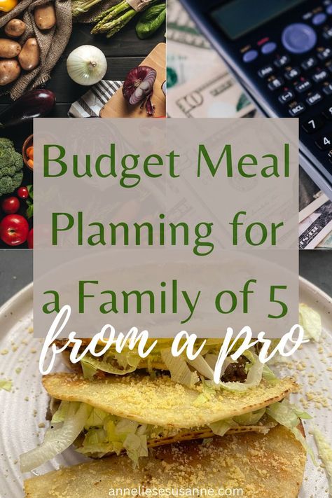 Budget Meal Planning for a Family of 5 From a Pro Cheap Meal Plans, Healthy Budget, Grocery Budget, Budget Meal Planning, Healthy Recipes On A Budget, Family Of Five, Family Of 5, Grocery Budgeting, Budget Friendly Recipes