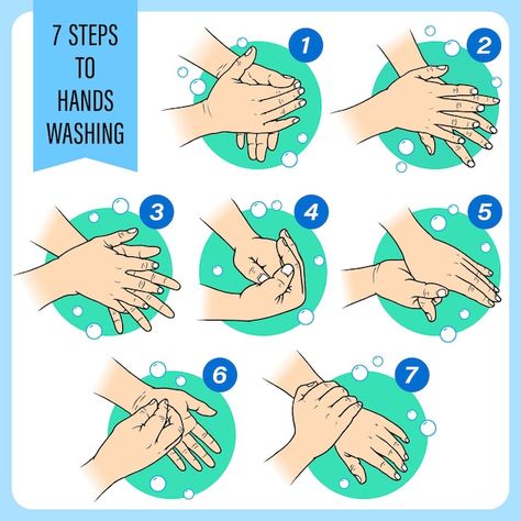 7 steps to washing hands hand sketch sho... | Premium Vector #Freepik #vector #dirty-hands #hand-hygiene #hygiene #clean-hands Hand Washing Steps, Hand Hygiene Posters, Success Images, Hand Washing Poster, Health And Safety Poster, Medical Wallpaper, Cartoon Butterfly, Safety Posters, Washing Hands