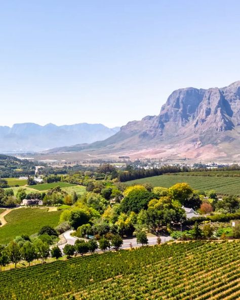 South Africa Vineyard, Stellenbosch Aesthetic, Stellenbosch Wineries, South Africa Winelands, Winelands South Africa, South Africa Wine, Motto In Life, South Africa Travel Guide, Africa Tourism