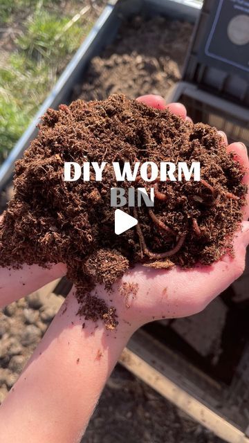 Milli | Homesteading & Homemaking on Instagram: "Comment WORMS to get my free quick start guide to worms.  Compost worms can turn food scraps into compost in as little as 90 days.   Try this DIY worm bin! I have tried a few different ways to worm farm and this is my favorite system. And surprisingly it’s the simplest and least expensive. I added 2,000 worms from @unclejimswormfarm to this bin. You can find a link in my bio for the worms!   Will you be becoming a worm farmer?  #compostworms #redwigglers #gardening #soil" Worm Farming Diy, Wormery Diy How To Build, Diy Vermicompost Bin, Diy Worm Bin, Worm Farm Diy How To Make A, Diy Worm Compost Bin, Diy Worm Farm, Earthworm Farm, Compost Worms