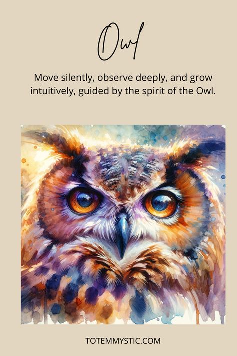 Owl Meaning Spiritual, Owl Spirit Animal Meaning, Owl Meaning, Spirit Animal Owl, Spirit Animal Quotes, Native American Spirit Animals, Native American Zodiac, Owl Totem, Owl Quotes