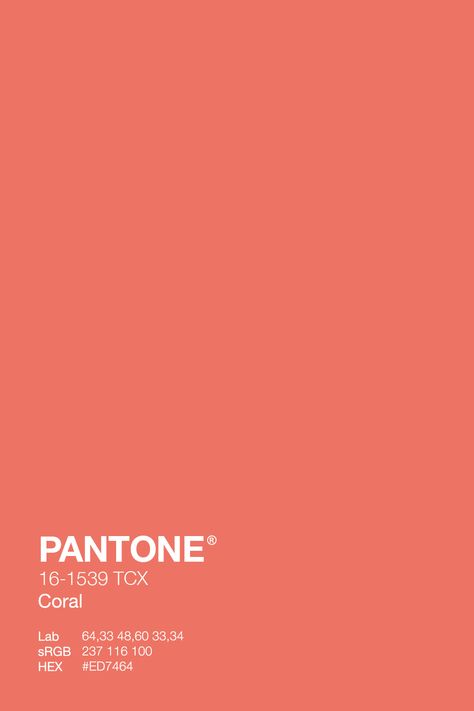 Coral Aesthetic Color, Colour Palette Coral, Coral Colour Aesthetic, Coral Color Aesthetic, Color Palette Coral, Coral Aesthetic, Coral Color Palette, Coral Palette, Coral Pantone