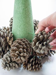 Holiday Pine Cones, Pine Cone Tree, Pine Cone Christmas Tree, Pine Cone Art, Christmas Pine Cones, Diy Pinecone, Cone Trees, Cone Christmas Trees, Pine Cone Decorations