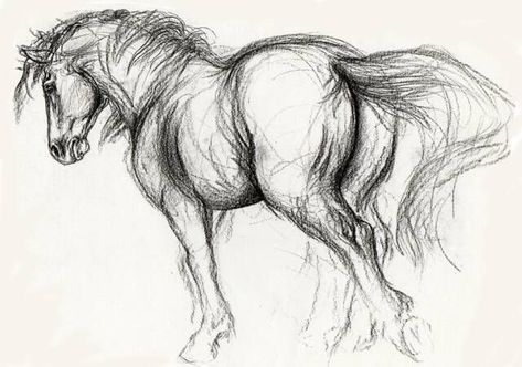 Horse Pencil Drawing, Horse Art Drawing, Horse Sketch, Man Sketch, Horse Artwork, Painting Subjects, Horse Drawing, Horse Drawings, Welcome Friends