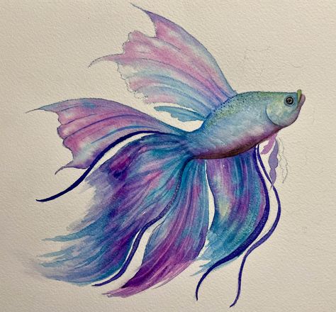 Betta Fish Watercolor, Watercolour Fish Paintings, Beta Fish Drawing, Coastal Images, Fish Sketch, Colourful Fish, Fish Watercolor, Fish Artwork, Watercolor Fish