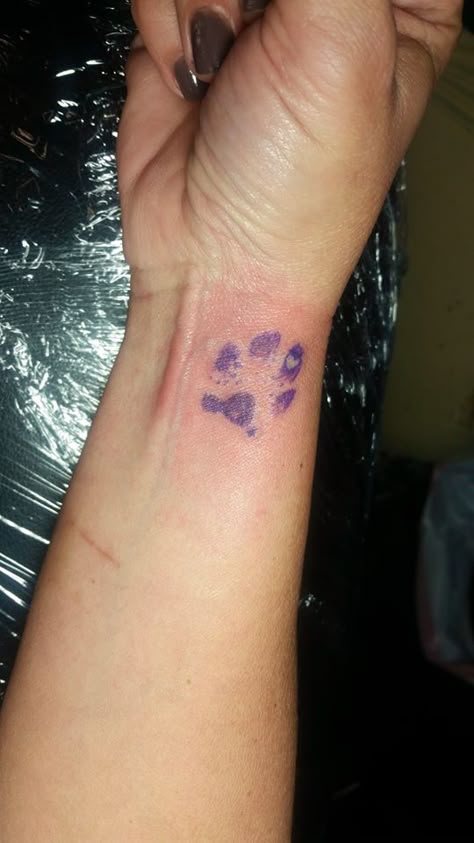 Cat Paw Hand Tattoo, Dog Paw Wrist Tattoo, Tattoo Paws Dog, Dog Paw Tattoo Placement, Paw Print Tattoo On Wrist, Cute Puppy Tattoo, Dog Pawprint Tattoo Ideas, Dog Tattoo Wrist, Paw Print Tattoo Wrist