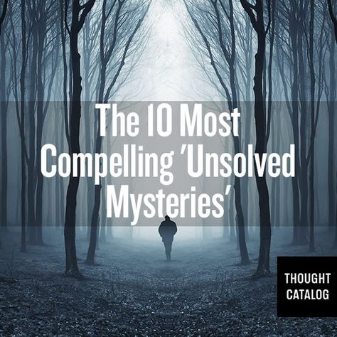 Robert Stack, Crazy Stories, Unsolved Mystery, Unexplained Mysteries, Scary Stuff, Mystery Stories, Mystery Of History, Thought Catalog, Weird Stories