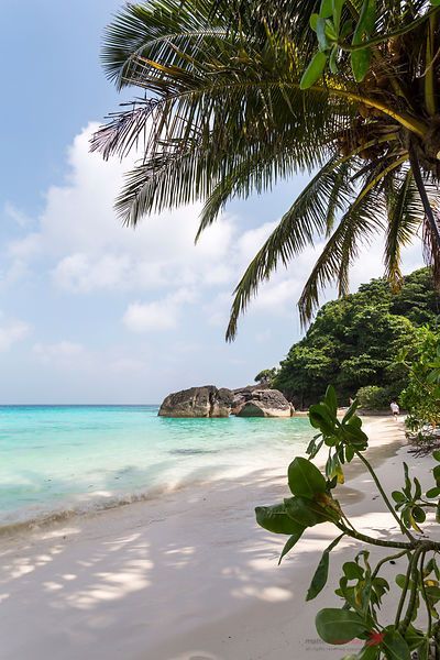 Similan Islands Thailand, Thailand Beach Aesthetic, Phuket Thailand Aesthetic, Thailand Travel Aesthetic, Islands Thailand, Thai Beach, Thailand Guide, Thailand Travel Destinations, Thailand Beach