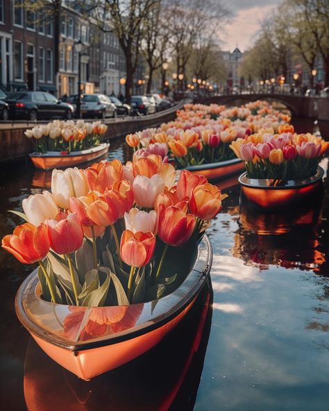 Amsterdam In Spring, Amsterdam Flowers, Movie Vibes, Amsterdam Tulips, Bouquet Of Tulips, Garden Food, Dutch Recipes, Amsterdam Travel, Flowers Delivered