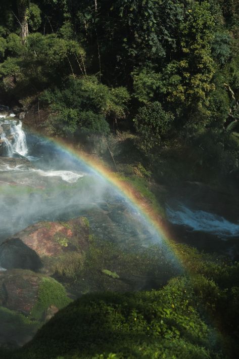 Doi Inthanon National Park, Rainbow Photo, Water Mist, Colors Of The Rainbow, Northern Thailand, The Mist, Natural Wonders, The Rainbow, Rainbow Colors