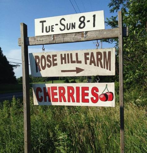 Prune Plum, Blueberry Farm, Orange Blush, 1 Year Birthday, Cherry Season, Hudson Valley Ny, Apple Varieties, Rose Hill, Farm Ideas