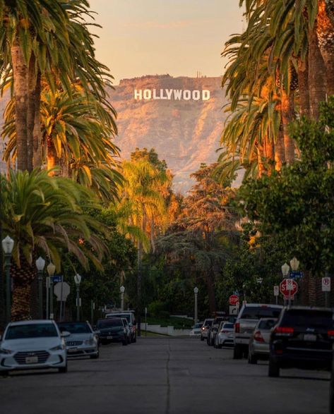 We Love LA on Instagram: “Taken by @jack.dw 📸 For more great photos from around the world, follow: @we.love.los.angeles @we.love.london.uk @we.love.south.korea…” Angeles, Los Angeles, Los Angeles California Photography, Los Angeles Aesthetic, Los Angeles Apartments, Visit Los Angeles, California Poster, Cali Life, Love London