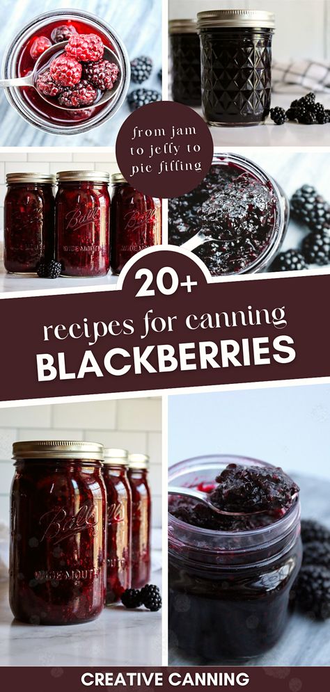 Dive into the ultimate collection of recipes for canning blackberries. Whether you're a seasoned canner or just starting out, this assortment offers a treasure trove of blackberry goodness. Capture the essence of blackberries and enjoy them throughout the year. This collection is your go-to resource for preserving blackberries in the most delicious ways possible. Blackberry Preserves Recipe Canning, Blackberry Canning Recipes, Preserving Blackberries, Blackberry Preserves Recipe, Canning Blackberry Jam, Blackberry Jelly Recipe, Canning Blackberries, Canning Fruit Recipes, Recipes For Canning