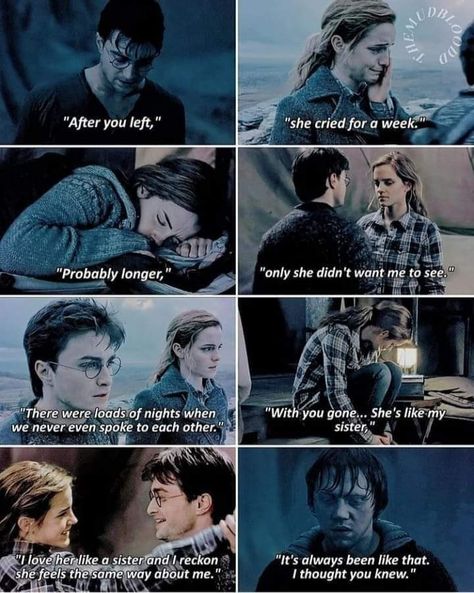 Citate Harry Potter, Harry Potter Voldemort, Funny Harry Potter Jokes, Harry And Hermione, Harry Potter Severus, Potter Quotes, Harry Potter Ron, Harry Potter Feels, Harry Potter Puns