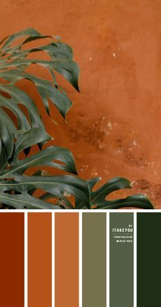 Green and Terracotta Colour Combination | Color Scheme | itakeyou.co.uk Cozy Color Schemes For The Home, Dusky Color Palette, Autumn Colors Living Room, Earthy Colorful Living Room, Morocco Color Palette, Green Room Color Palette, Palette Couleur Terracotta, Earthy Home Color Palette, Terracotta And Dark Green