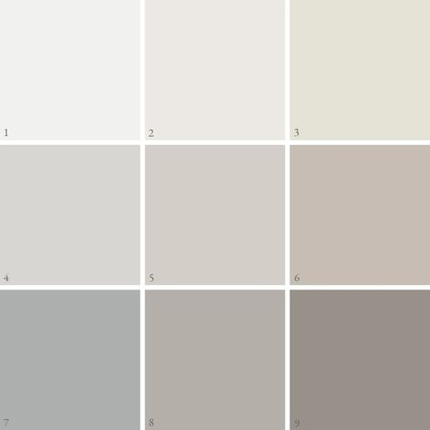 Pale Grey Aesthetic, Best Gray Paint, Gray Aesthetic, Color Palate, Aesthetic Ideas, Color Tone, Birthday Woman, Grey Walls, Diy Scrapbook